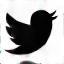 Twitter icon
